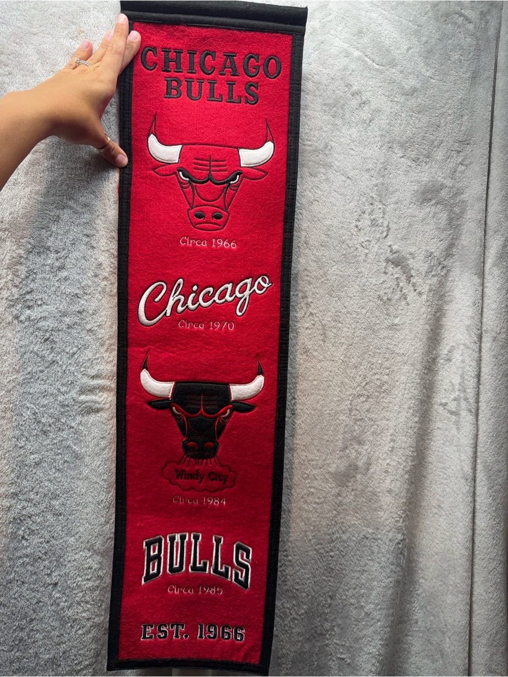 Red Wall Tapestry - Official Team Design